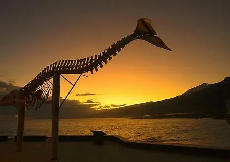 Mar Y Montana Apartament Los Silos